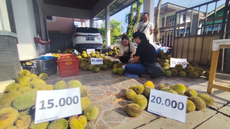 Durian Asli Kutai Barat Harga Mulai Rp15-85 Ribu, Makan Ditempat Garansi 100 Persen
